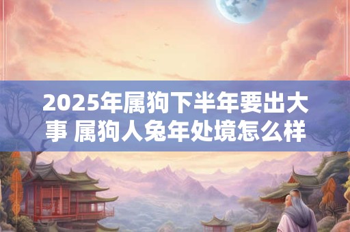 2025年属狗下半年要出大事 属狗人兔年处境怎么样