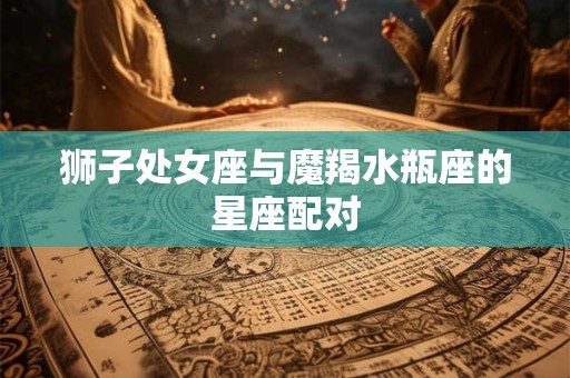狮子处女座与魔羯水瓶座的星座配对