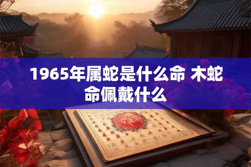 1965年属蛇是什么命 木蛇命佩戴什么
