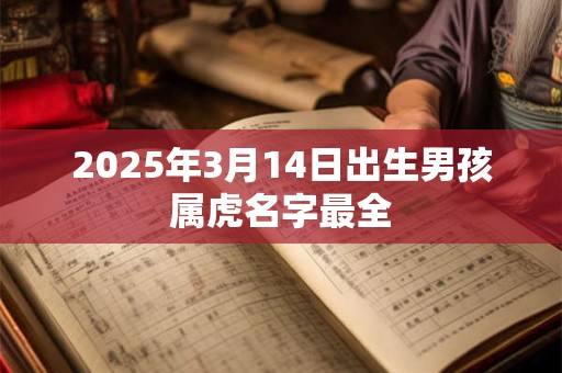 2025年3月14日出生男孩属虎名字最全