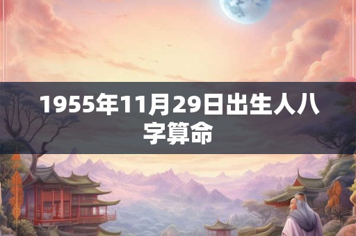 1955年11月29日出生人八字算命
