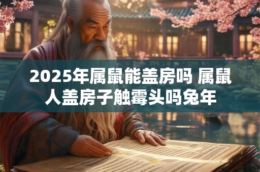 2025年属鼠能盖房吗 属鼠人盖房子触霉头吗兔年