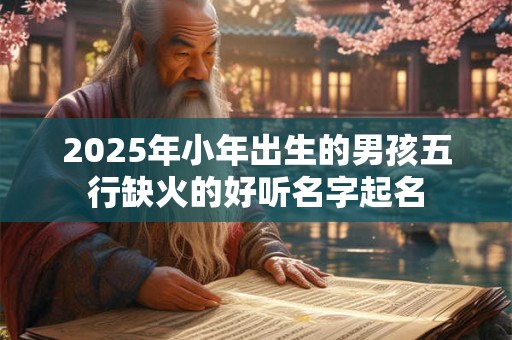 2025年小年出生的男孩五行缺火的好听名字起名