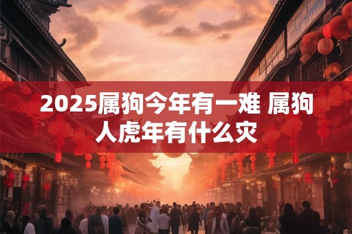 2025属狗今年有一难 属狗人虎年有什么灾