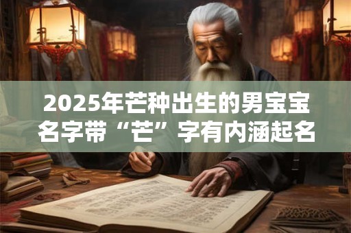 2025年芒种出生的男宝宝名字带“芒”字有内涵起名