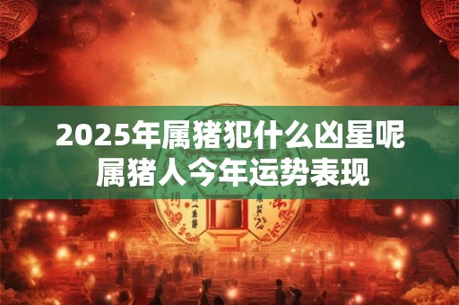 2025年属猪犯什么凶星呢 属猪人今年运势表现