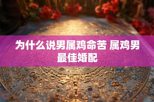 详细阅读:为什么说男属鸡命苦 属鸡男最佳婚配 为什么说男属鸡命苦 属鸡男最佳婚配