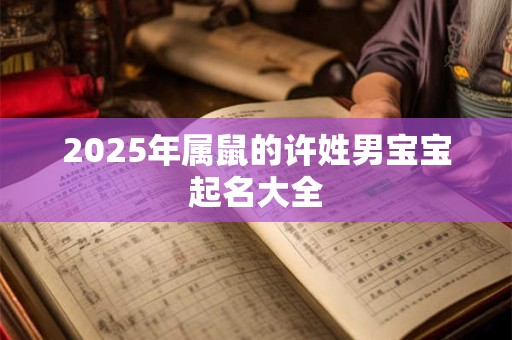 2025年属鼠的许姓男宝宝起名大全
