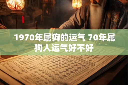 1970年属狗的运气 70年属狗人运气好不好