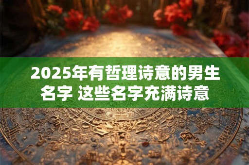 2025年有哲理诗意的男生名字 这些名字充满诗意