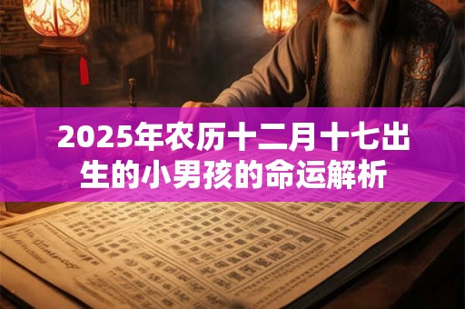 2025年农历十二月十七出生的小男孩的命运解析