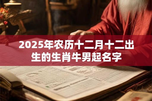 2025年农历十二月十二出生的生肖牛男起名字