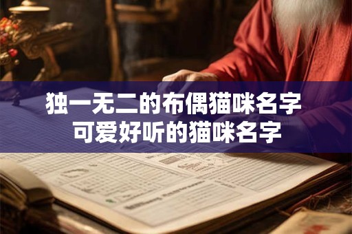 独一无二的布偶猫咪名字 可爱好听的猫咪名字