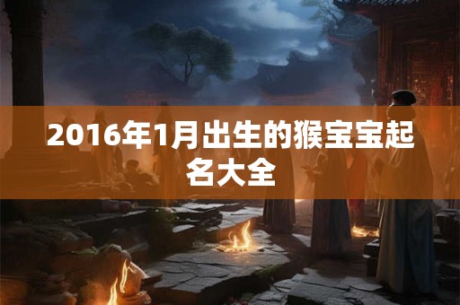 2016年1月出生的猴宝宝起名大全