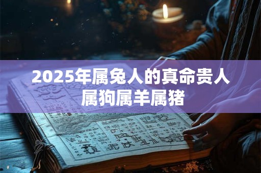 2025年属兔人的真命贵人 属狗属羊属猪