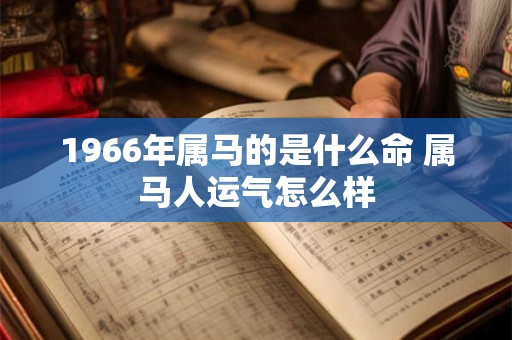 1966年属马的是什么命 属马人运气怎么样