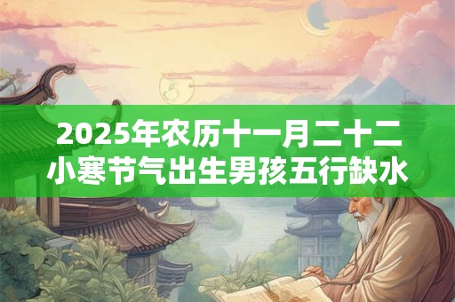 2025年农历十一月二十二小寒节气出生男孩五行缺水取名大全