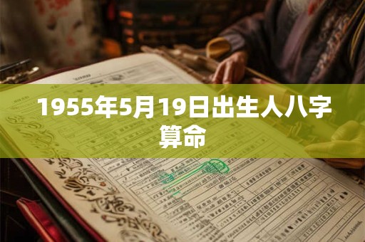 1955年5月19日出生人八字算命