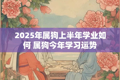 2025年属狗上半年学业如何 属狗今年学习运势