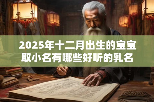 2025年十二月出生的宝宝取小名有哪些好听的乳名