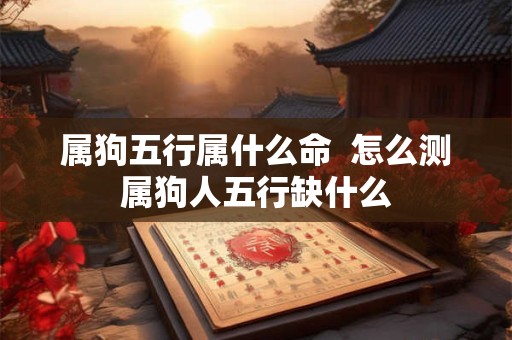 属狗五行属什么命  怎么测属狗人五行缺什么