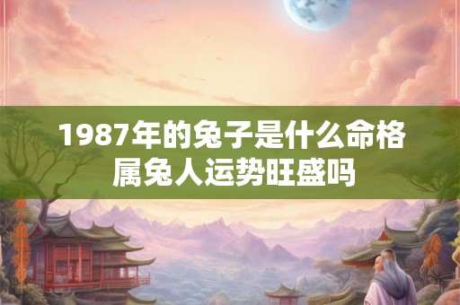 1987年的兔子是什么命格 属兔人运势旺盛吗