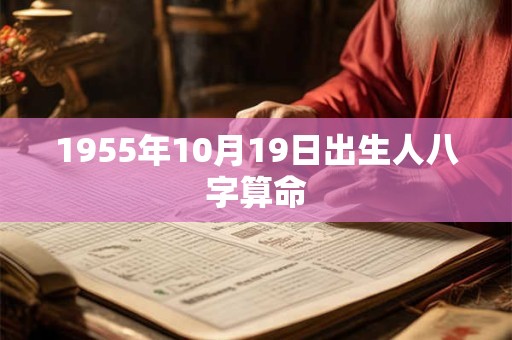 1955年10月19日出生人八字算命