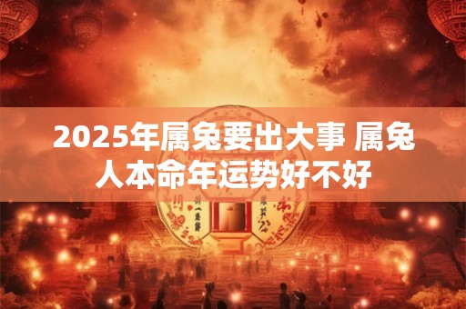 2025年属兔要出大事 属兔人本命年运势好不好