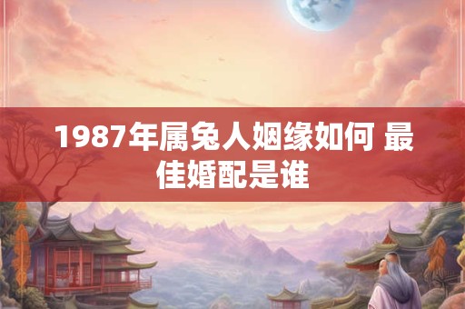 1987年属兔人姻缘如何 最佳婚配是谁