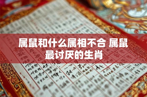 属鼠和什么属相不合 属鼠最讨厌的生肖