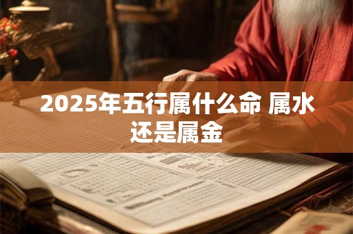 2025年五行属什么命 属水还是属金