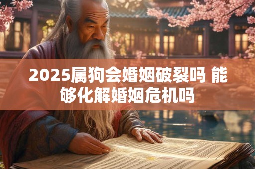 2025属狗会婚姻破裂吗 能够化解婚姻危机吗