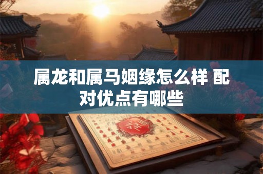 属龙和属马姻缘怎么样 配对优点有哪些