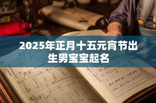 2025年正月十五元宵节出生男宝宝起名