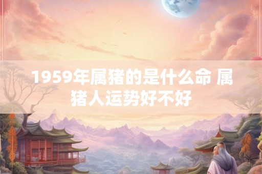 1959年属猪的是什么命 属猪人运势好不好