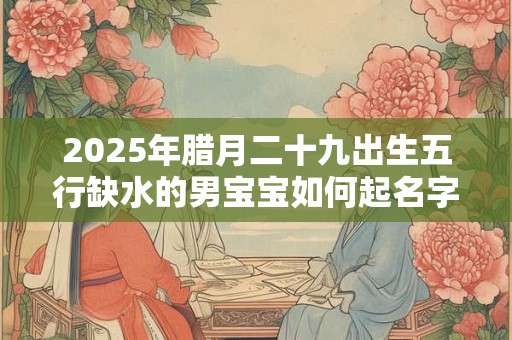 2025年腊月二十九出生五行缺水的男宝宝如何起名字