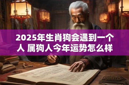 2025年生肖狗会遇到一个人 属狗人今年运势怎么样