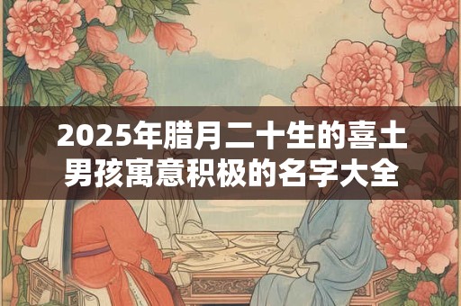 2026年腊月二十生的喜土男孩寓意积极的名字大全