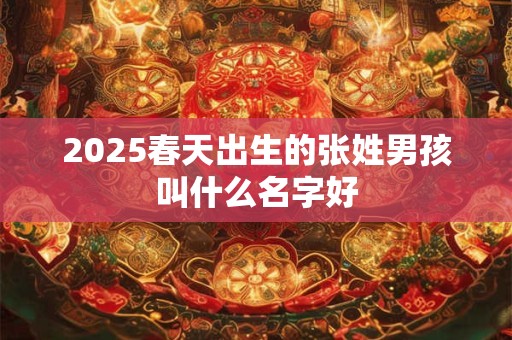 2025春天出生的张姓男孩叫什么名字好