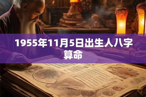 1955年11月5日出生人八字算命