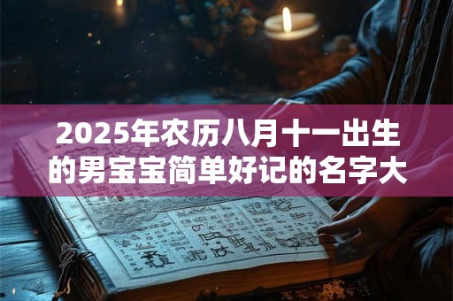 2025年农历八月十一出生的男宝宝简单好记的名字大全
