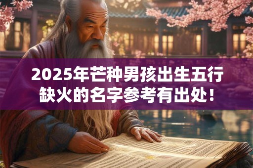 2026年芒种男孩出生五行缺火的名字参考有出处! 2026年芒种男孩出生五行缺火的名字参考有出处!