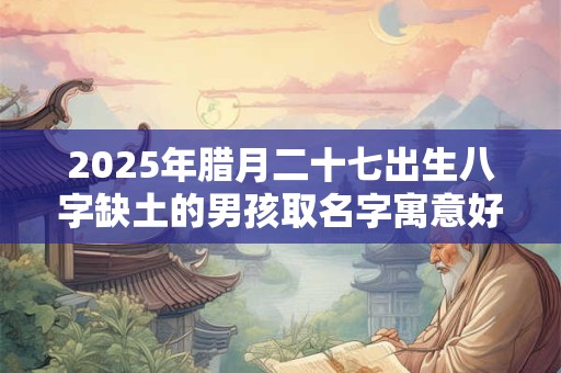 2025年腊月二十七出生八字缺土的男孩取名字寓意好