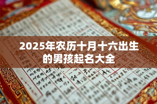 2025年农历十月十六出生的男孩起名大全