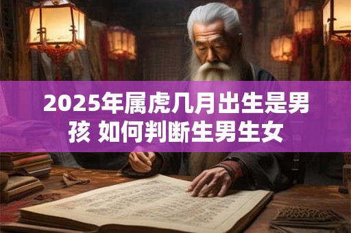 2025年属虎几月出生是男孩 如何判断生男生女