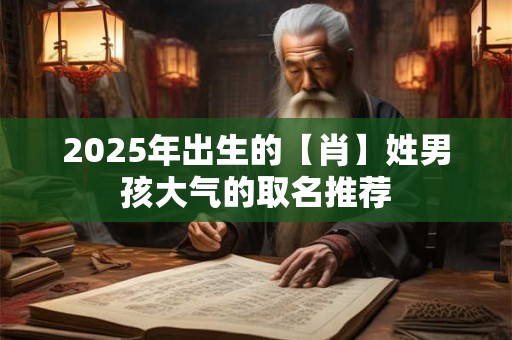 2025年出生的【肖】姓男孩大气的取名推荐