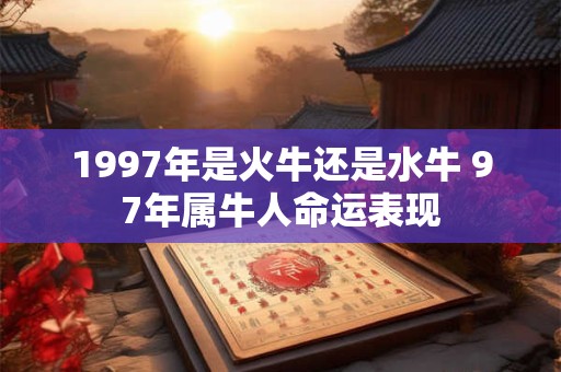 1997年是火牛还是水牛 97年属牛人命运表现