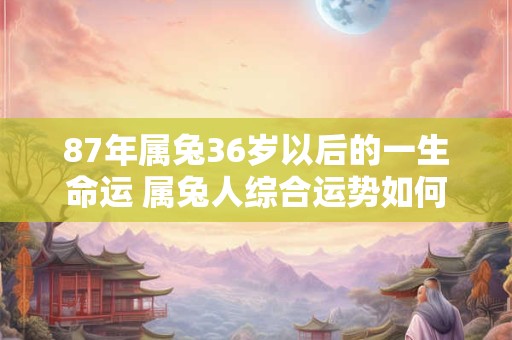 87年属兔36岁以后的一生命运 属兔人综合运势如何