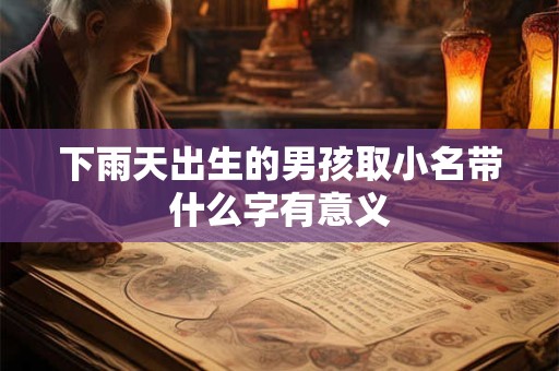 下雨天出生的男孩取小名带什么字有意义