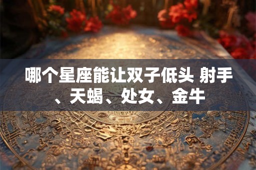哪个星座能让双子低头 射手、天蝎、处女、金牛